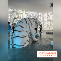 Exposition Signal de Mohamed Bourouissa au Palais de Tokyo