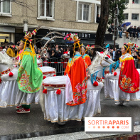 Défilé du Nouvel an Lunaire du 13e 2024 - nos photos - image00017