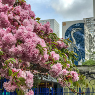 Visuel Paris 13e - IMG 3244