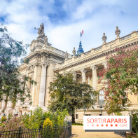 Visuel Paris 8e - Grand Palais