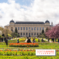 Visuel Paris 5e -  jardin des plantes - museum - printemps - cerisiers