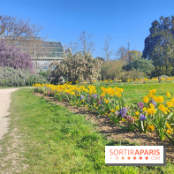 Visuel Paris 5e - jardin des plantes serres