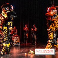 Nouvel An lunaire au Musée Guimet par le Collectif Banh Mi -  A7C6980