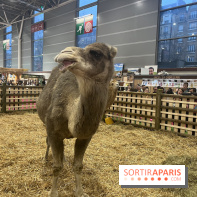Salon de l'agriculture 2024