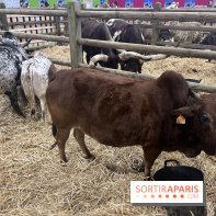 Salon de l'agriculture 2024 - image00058