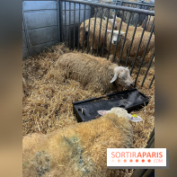 Salon de l'agriculture 2024 - image00047