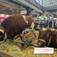 Salon de l'agriculture 2024 - image00041