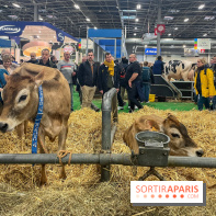 Salon de l'agriculture 2024 - image00035