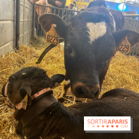 Salon de l'agriculture 2024 - image00034