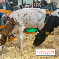 Salon de l'agriculture 2024