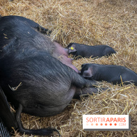 Salon de l'agriculture 2024 - image00030