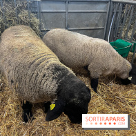 Salon de l'agriculture 2024 - image00023