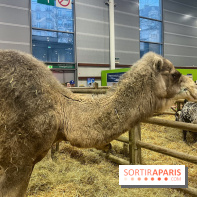 Salon de l'agriculture 2024 - image00004