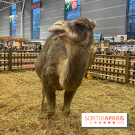 Salon de l'agriculture 2024