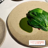 Datil - Autour du pakchoï