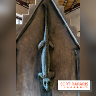 Château de Pierrefonds, nos photos -  A7C7133