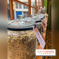 La Distillerie de l’Arbre Sec : l'atelier de création de gin à deux pas du Louvre