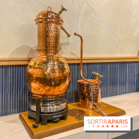 La Distillerie de l’Arbre Sec : l'atelier de création de gin à deux pas du Louvre
