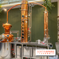 La Distillerie de l’Arbre Sec : l'atelier de création de gin à deux pas du Louvre