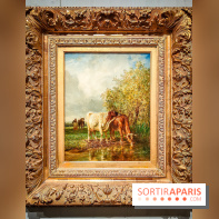 La voix de la forêt : l'exposition qui nous reconnecte avec la nature au Petit Palais - photos - IMG20240304101400