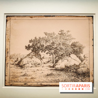 La voix de la forêt : l'exposition qui nous reconnecte avec la nature au Petit Palais - photos - IMG20240304100733