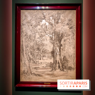 La voix de la forêt : l'exposition qui nous reconnecte avec la nature au Petit Palais - photos - IMG20240304100942