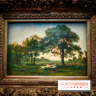 La voix de la forêt : l'exposition qui nous reconnecte avec la nature au Petit Palais - photos - IMG20240304100746