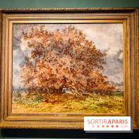 La voix de la forêt : l'exposition qui nous reconnecte avec la nature au Petit Palais - photos - IMG20240304101038