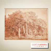 La voix de la forêt : l'exposition qui nous reconnecte avec la nature au Petit Palais - photos - IMG20240304101014