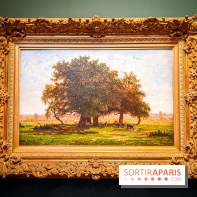 La voix de la forêt : l'exposition qui nous reconnecte avec la nature au Petit Palais - photos - IMG20240304101005