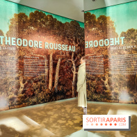 La voix de la forêt : l'exposition qui nous reconnecte avec la nature au Petit Palais - photos