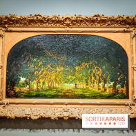 La voix de la forêt : l'exposition qui nous reconnecte avec la nature au Petit Palais - photos - IMG20240304100120