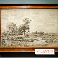 La voix de la forêt : l'exposition qui nous reconnecte avec la nature au Petit Palais - photos - IMG20240304095738