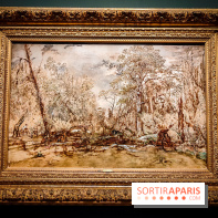 La voix de la forêt : l'exposition qui nous reconnecte avec la nature au Petit Palais - photos - IMG20240304101046