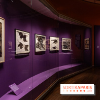 Exposition T'ang Haywen au Musée Guimet à Paris