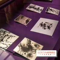 Exposition T'ang Haywen au Musée Guimet à Paris