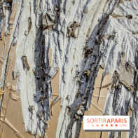 Suivre les ondes, nos photos de l'expo à l'Institut suédois