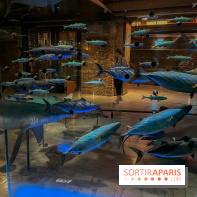 Grande Galerie de l'évolution- visuels 2024 - image00110