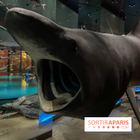 Grande Galerie de l'évolution- visuels 2024 - image00114