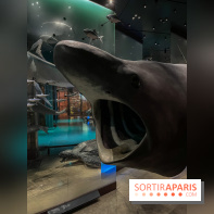 Grande Galerie de l'évolution- visuels 2024