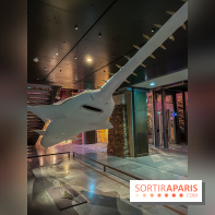 Grande Galerie de l'évolution- visuels 2024 - image00116