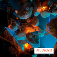 Grande Galerie de l'évolution- visuels 2024 - image00104