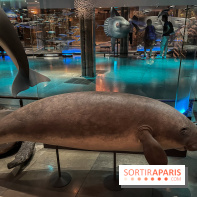 Grande Galerie de l'évolution- visuels 2024 - image00106