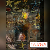 Grande Galerie de l'évolution- visuels 2024 - image00107