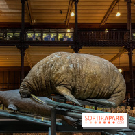 Grande Galerie de l'évolution- visuels 2024
