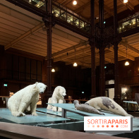 Grande Galerie de l'évolution- visuels 2024