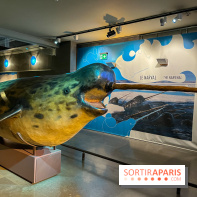 Grande Galerie de l'évolution- visuels 2024 - image00093