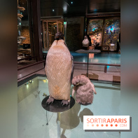 Grande Galerie de l'évolution- visuels 2024 - image00097