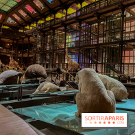 Grande Galerie de l'évolution- visuels 2024 - image00080