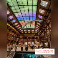 Grande Galerie de l'évolution- visuels 2024 - image00082